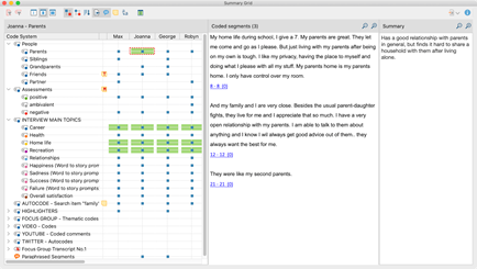 literature review with maxqda