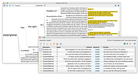 literature review with maxqda