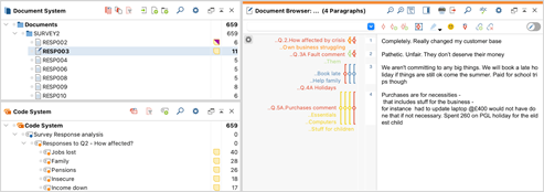 literature review with maxqda