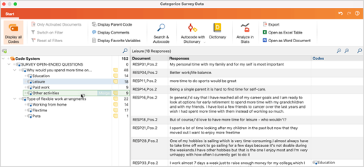 literature review with maxqda