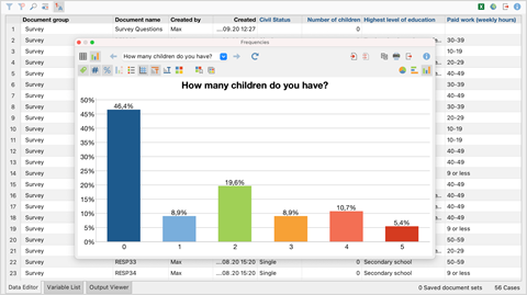 literature review with maxqda